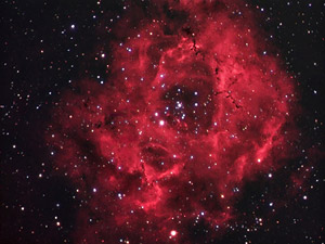 NGC 2244 :: Sur Astronmico