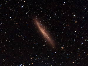 NGC 4945 :: Sur Astronmico