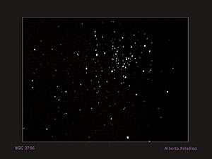 NGC 3766 :: Sur Astronómico