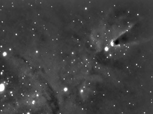 Nebulosa del Cono :: Sur Astronmico