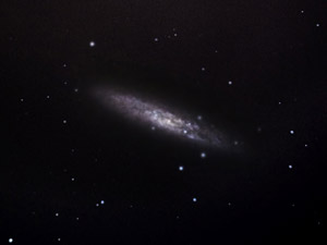 NGC 253 :: Sur Astronmico
