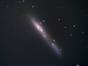 NGC 55 :: Sur Astronmico
