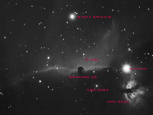 Barnard 33 :: Sur Astron�mico