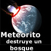 Meteorito destruyó un bosque